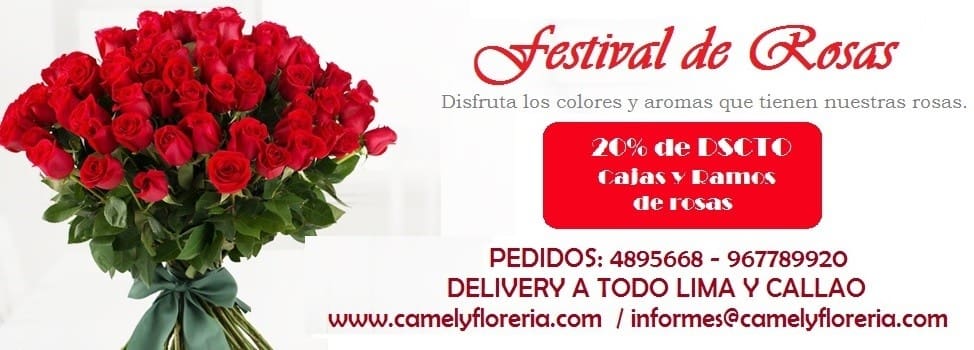 floreria camely